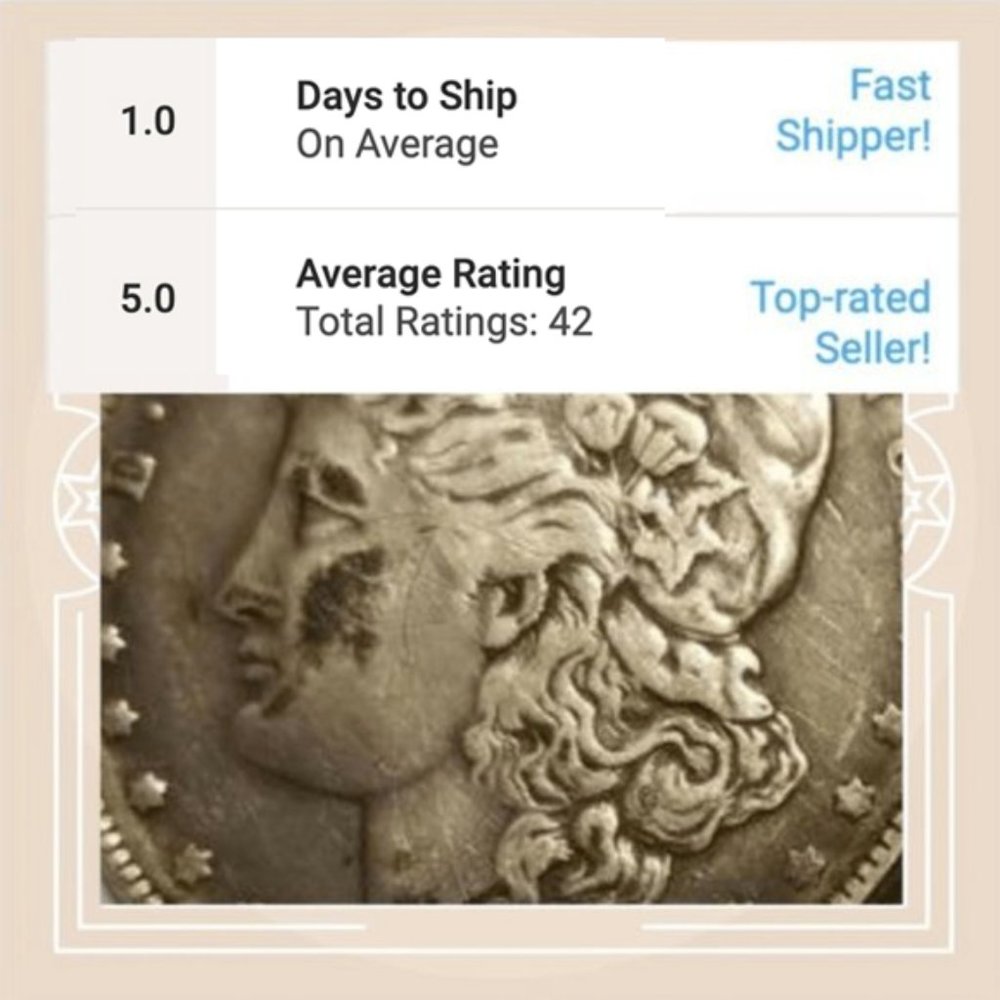 Meet your Posher, Amalia